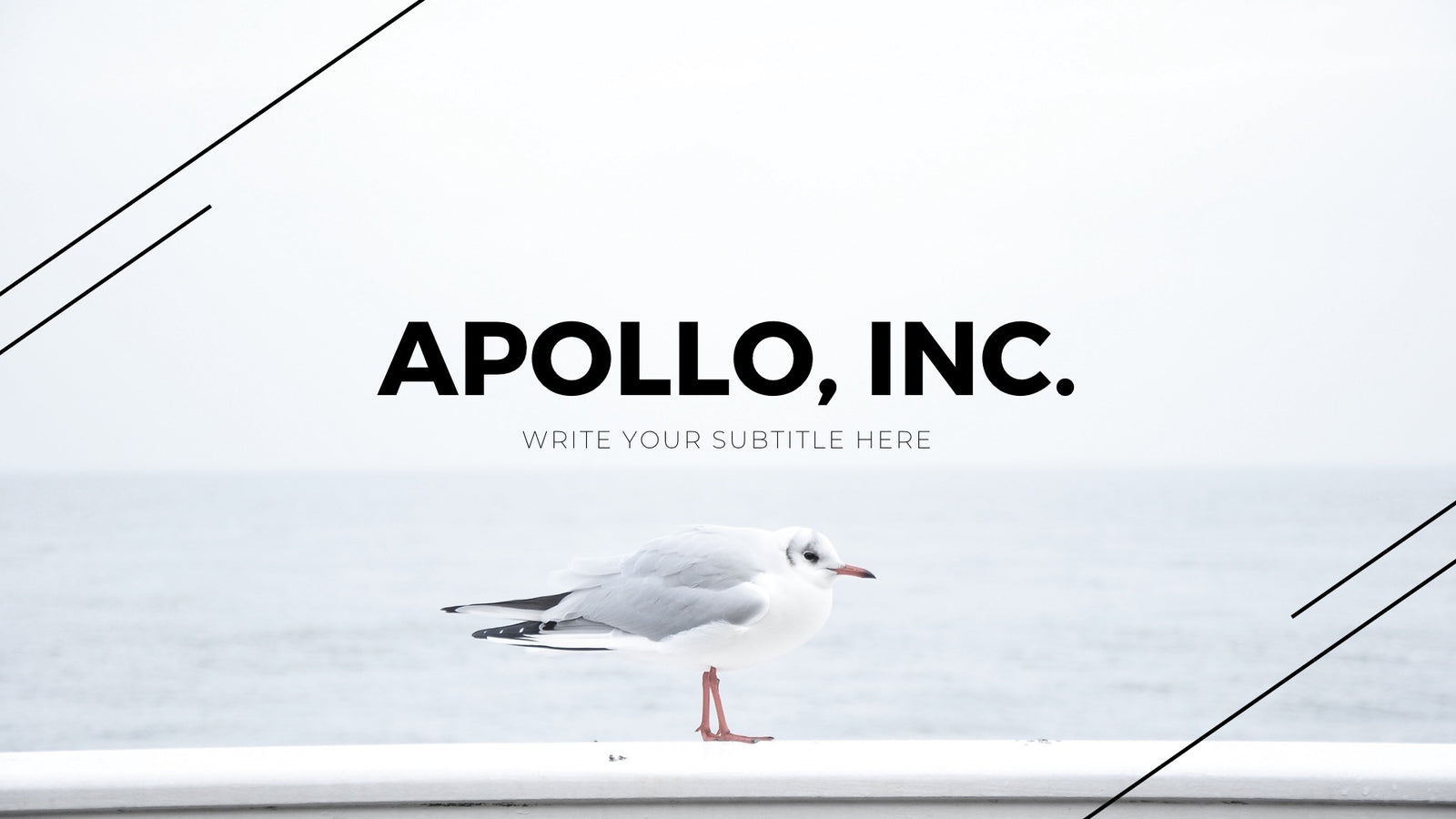 Apollo Minimal Presentation Template