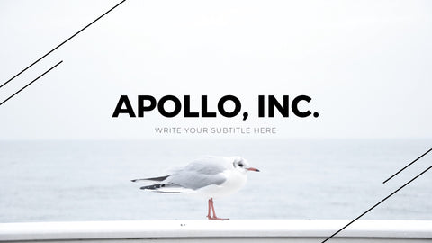 Apollo Minimal Presentation Template