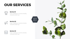 Apollo Minimal Presentation Template