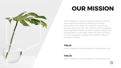 Apollo Minimal Presentation Template