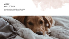 Aurora Minimal Presentation Template