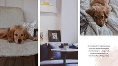 Aurora Minimal Presentation Template