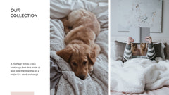 Aurora Minimal Presentation Template