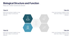 Biological Structure and Function Presentation slide 3