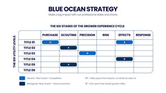 Blue Ocean Strategy Infographics slide 18