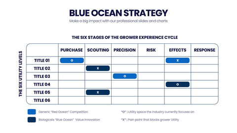 Blue Ocean Strategy Infographics