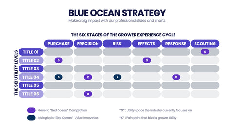 Blue Ocean Strategy Infographics