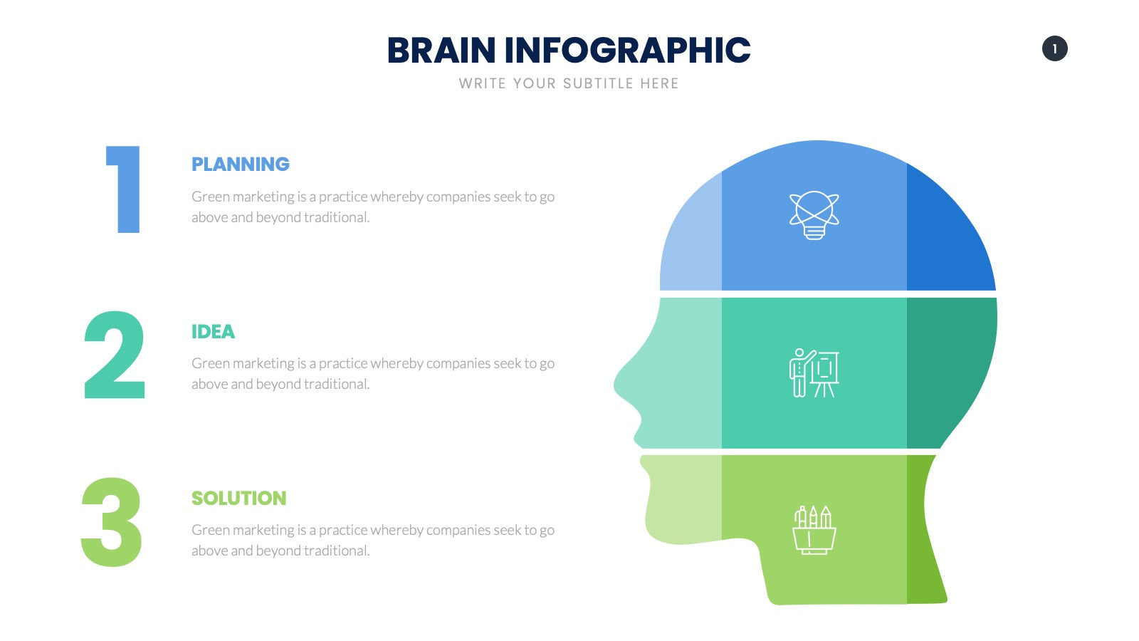 Brain Infographics