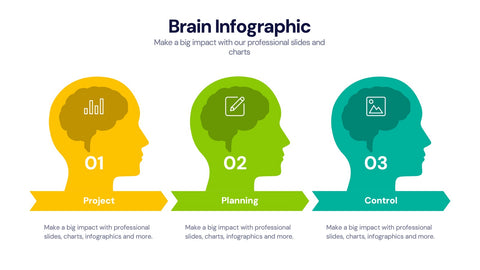 Brain Infographic Templates