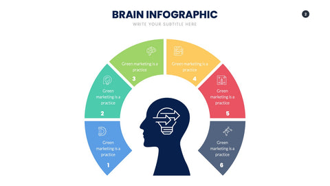Brain Infographics for Learning & Cognitive Science