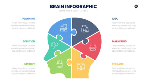 Brain Infographics for Learning & Cognitive Science