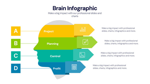 Brain Infographic Templates