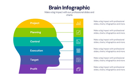 Brain Infographic Templates