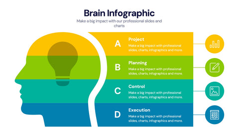 Brain Infographic Templates