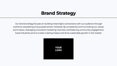 Brand Overview Presentation slide 16