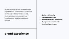 Brand Overview Presentation slide 19