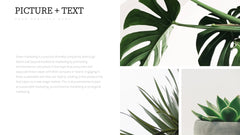 Brice Minimal Presentation Template