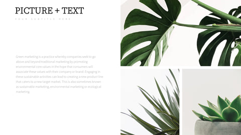 Brice Minimal Presentation Template