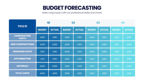 Budget Forecasting Infographics