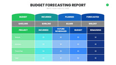 Budget Infographics