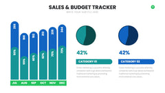 Budget Infographics slide 10