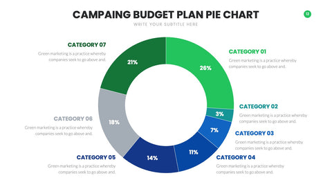 Budget Infographics