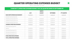 Budget Infographics slide 14