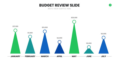 Budget Infographics