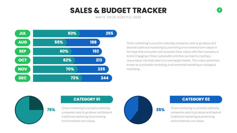 Budget Infographics