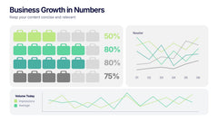 Business Growth in Numbers Presentation slide 4