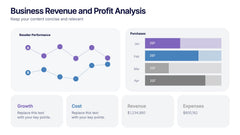 Business Revenue and Profit Analysis Presentation slide 3