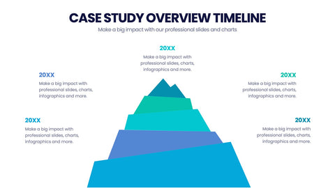Case Study Infographics