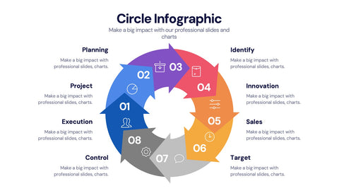 Circle Infographics