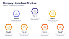 Company Hierarchical Structure Presentation