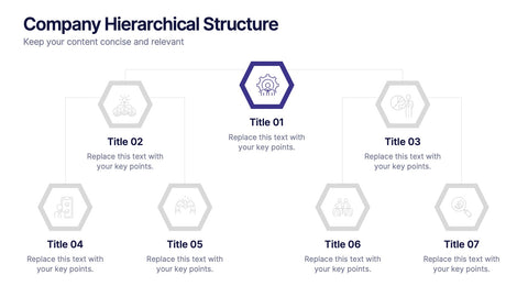 Company Hierarchical Structure Presentation