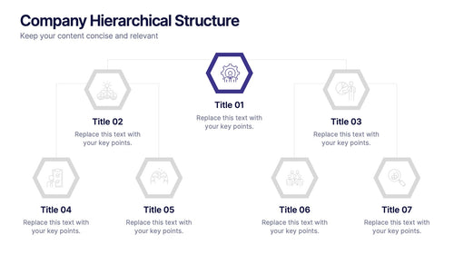 Company Hierarchical Structure Presentation slide 2
