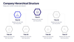 Company Hierarchical Structure Presentation slide 3