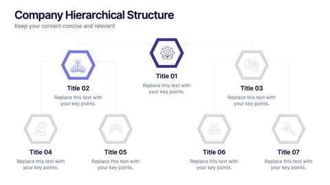 Company Hierarchical Structure Presentation