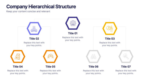 Company Hierarchical Structure Presentation