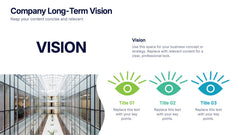 Company Long-Term Vision Presentation
