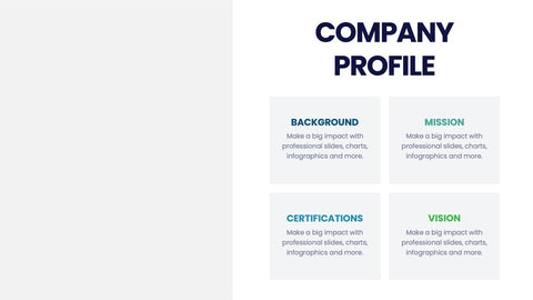Company Profile Infographics