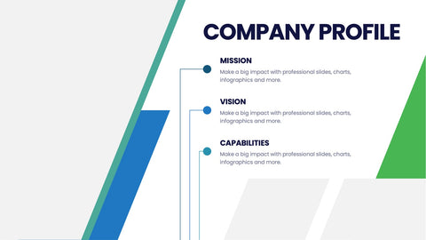 Company Profile Infographics
