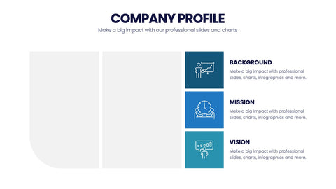 Company Profile Infographics