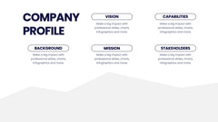 Company Profile Infographics slide 13