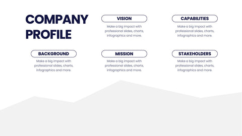 Company Profile Infographics