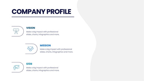 Company Profile Infographics