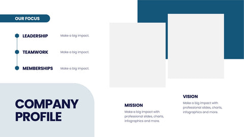 Company Profile Infographics