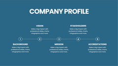 Company Profile Infographics slide 17