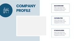 Company Profile Infographics
