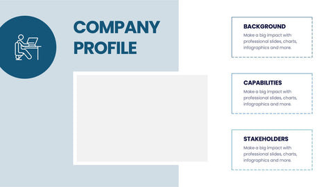 Company Profile Infographics